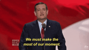 republican national convention rnc GIF by GOP