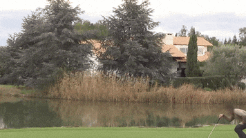ktr4ks  GIF