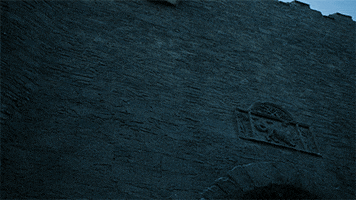 hbo castle GIF by Game of Thrones