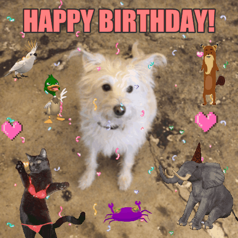 Happy Birthday Gif By Chuber Channel Find Share On Giphy