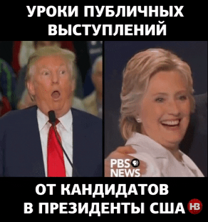 ziggy_iggy_lou election2016 GIF