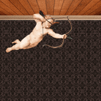 Cupid Love GIF by Percolate Galactic