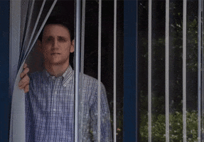 TV gif. Zach Woods as Jared in Silicon Valley looks out an open window, pulling aside big vertical blinds. He looks devastated and utterly defeated.