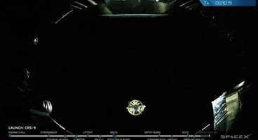 alisun  GIF