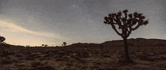Big Sky Music Video GIF by Pearl Lion