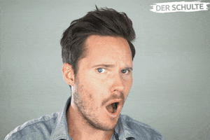 derschulte reaction gifs reaktionen moods GIF