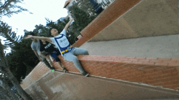 eagle  GIF