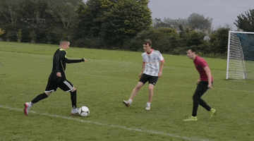 danielzakrzewski  GIF