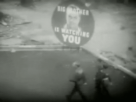 rubenmarquez  GIF