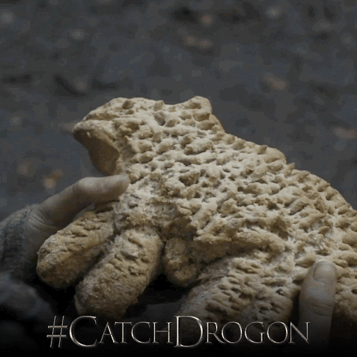 Game Of Thrones Hbo GIF by Catch Drogon