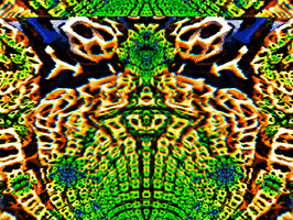 200.gif?cid=fc005b087b23241cede07866cd9d2f584678f38976674028&rid=200.gif&ct=g