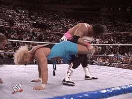 wwe sports wwe wrestling 1991 GIF