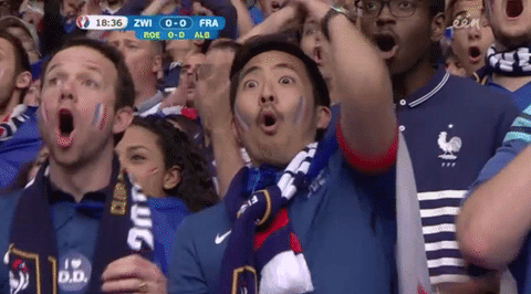 France Fans GIF by Sporza - Find & Share on GIPHY