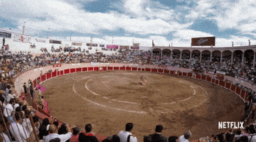 GIF by Chelsea Handler