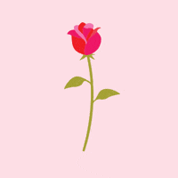 Rose Aesthetic Gifs Get The Best Gif On Giphy Rose Aesthetic Gifs Get The Best Gif On Giphy