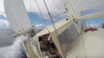 sailing sailboat GIF
