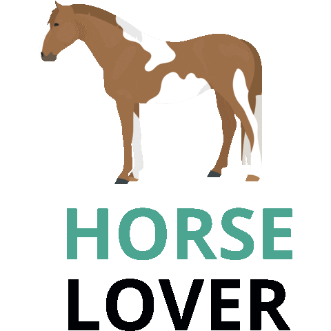 Horse Pony Sticker by My Horseback View