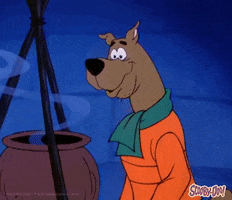 Cartoon Cooking GIF by Scooby-Doo