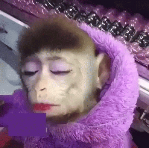 Makeup Monkey GIF by MOODMAN