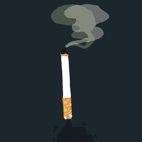 Smoke Smoking GIF by Squirlart - Find & Share on GIPHY