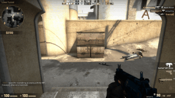 pazelloxu csgo GIF