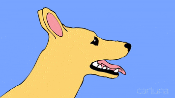 Dog Morph GIF by Cartuna