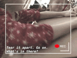 burnsydelight christmas sunny frank its always sunny in philadelphia GIF