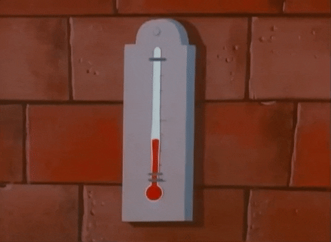 thermometer meme gif