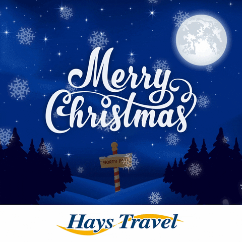 merry christmas GIF by Hays Travel