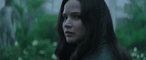 GIF by The Hunger Games: Mockingjay Part 2