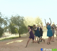 factslab  GIF