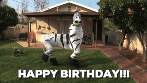https://media4.giphy.com/media/26FPIV12CYbDSVIR2/giphy.gif?cid=ecf05e47jirhckgi827ox90cu9jkccnr28n76il2n0wqpw4i&rid=giphy.gif