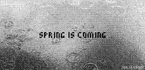 spring is coming GIF by joojaebum