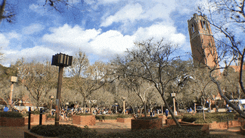clouds campus GIF by University of Florida