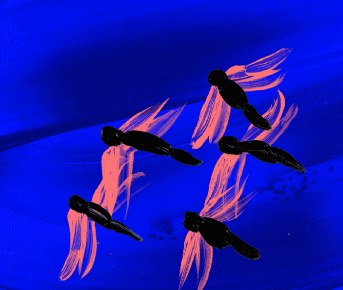 giphy.gif?cid=ecf05e47zljwn5uj22mzhggq2s