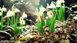 ia #databend #datamosh #nature GIF