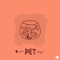 pets love your pet day GIF by CBC