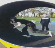 spin lol GIF by America's Funniest Home Videos