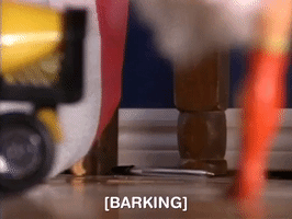 action league now nicksplat GIF