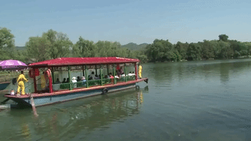China Gu Zhen GIF