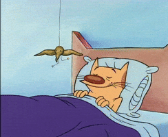 200.gif?cid=f0bdee70c1rtrg7jk62qv2fqagylg5yuoz3u9sgrvarnlmfi&rid=200.gif&ct=g