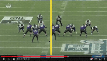 Pinstripe Bowl Football GIF