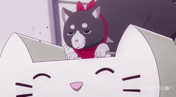 new game cat GIF by Funimation