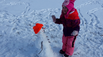 Snow Fail GIF by America's Funniest Home Videos