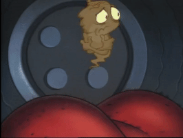 200.gif?cid=fc005b08e333e7a4ac4640140b8536154504bf7783a3074a&rid=200.gif&ct=g