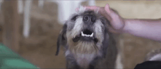 Just A Feeling GIF by Phantoms