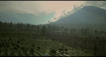 Indonesia GIF
