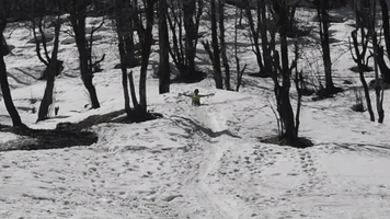 Glissading Dashing Through Snow GIF