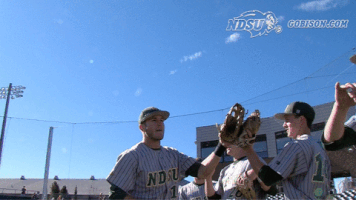north dakota state baseball GIF by NDSU Athletics