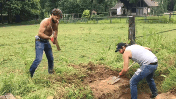 evaellida festival concert construction live music GIF